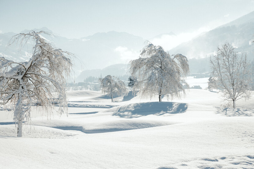 Golf course-winter view-29-Sportresidenz Zillertal